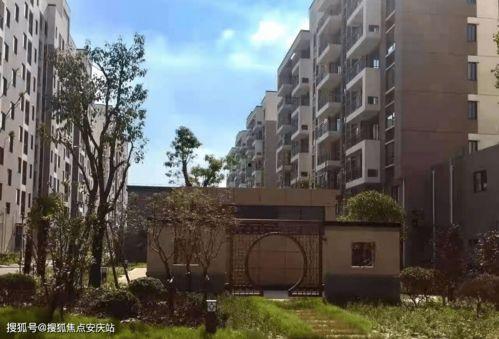 遵化建龙最新爆料电话,电话揭露惊人内幕