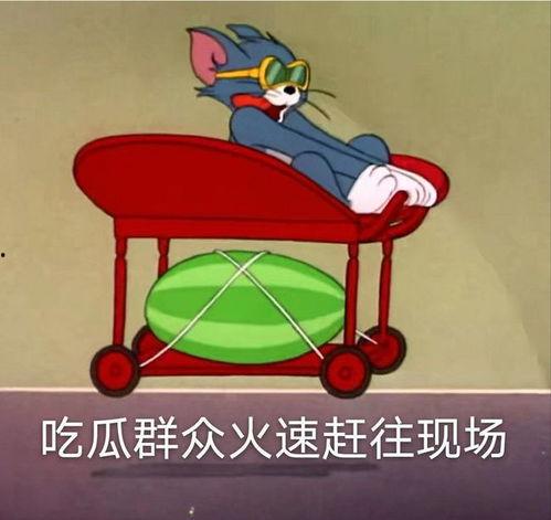 吃瓜爆料视频的最新动态,揭秘娱乐圈最新热点事件